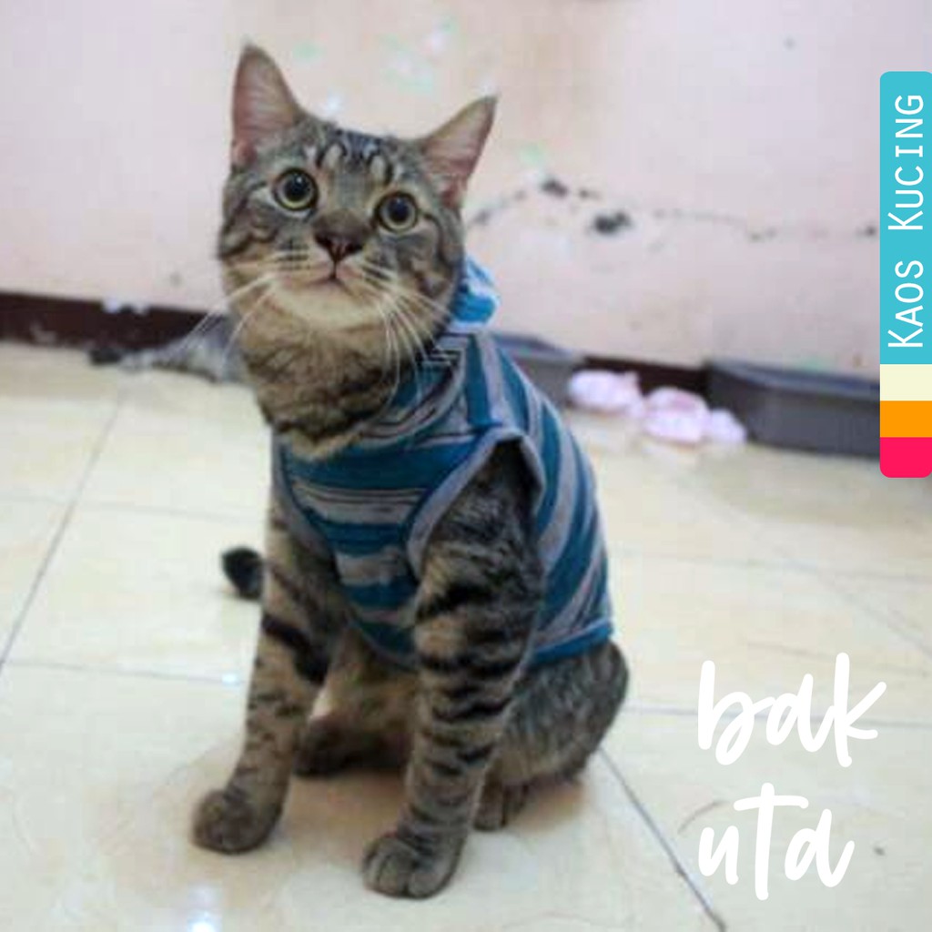 Kaos strip biru abu keren untuk kucing dan anjing / baju kucing murah size S M L XL