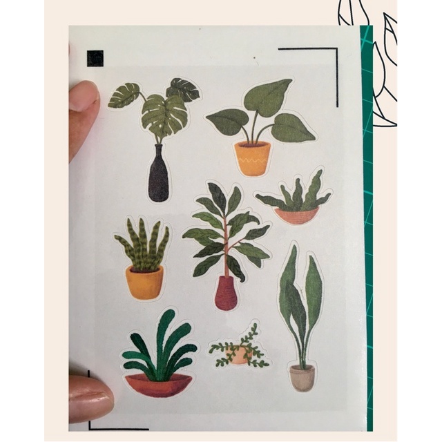 Sticker Plants Tumblr Sticker Tanaman Aesthetic Murah