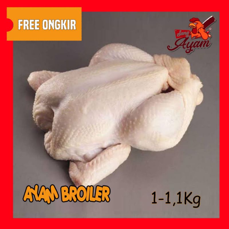ayam potong fresh