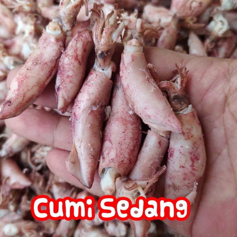 

Cumi Sedang Rebusan 4-7cm