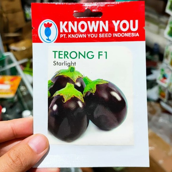 KYS - benih TERONG JUMBO STARLIGHT isi 95 biji - benih terong hitam - known you seed