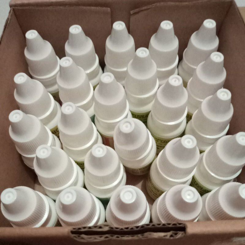 Tj hormon perangsang tunas aglonema original