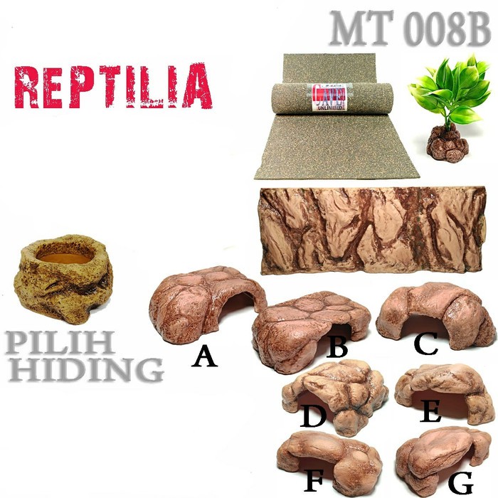 MT008B ISI SAJA REPTILIA ULAR GECKO KADAL TERRARIUM AQUARIUM GEX M