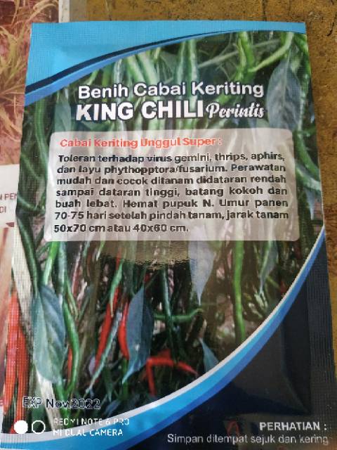 Benih cabe KING CHILI PERINTIS 10g  Shopee Indonesia