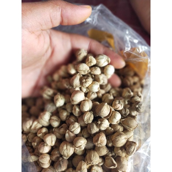 

Kapulaga kering 35gr