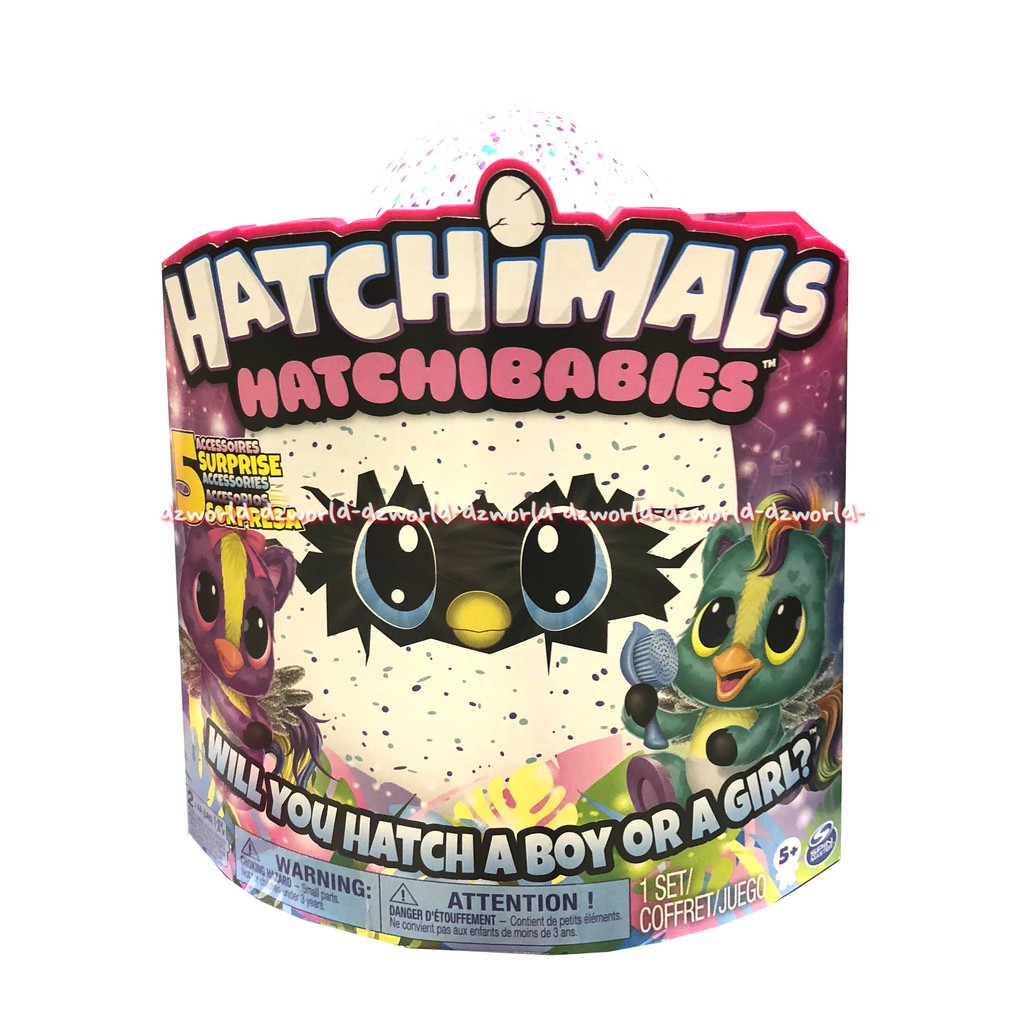 Hatchimals Hatchibabies Will You Hatch a Boy or Girl Mainan Boneka