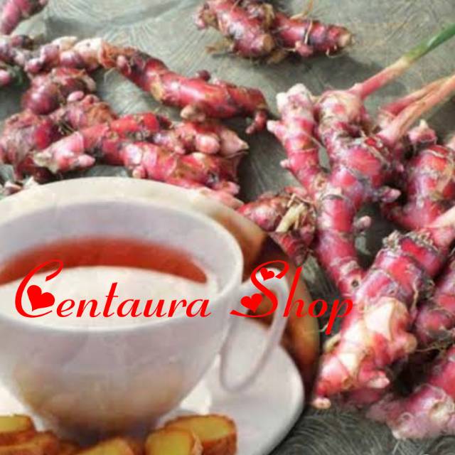 

Jahe Merah Kwalitas Super Unggul 500gr
