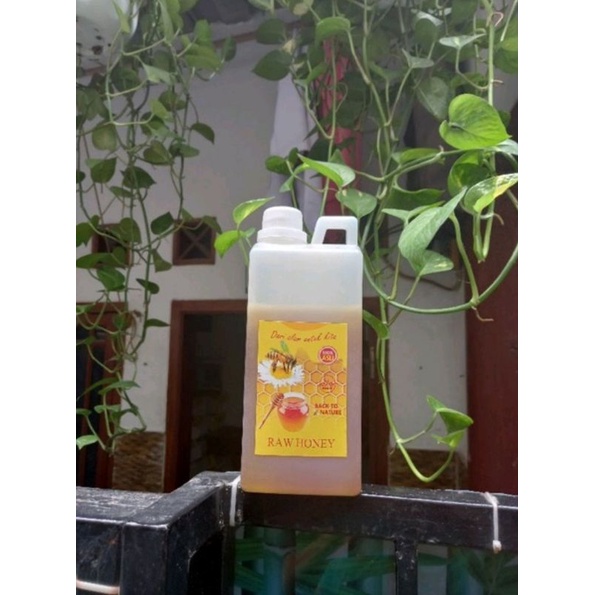 

Nektar madu randu asli 1 kg madu randu murni jakarta