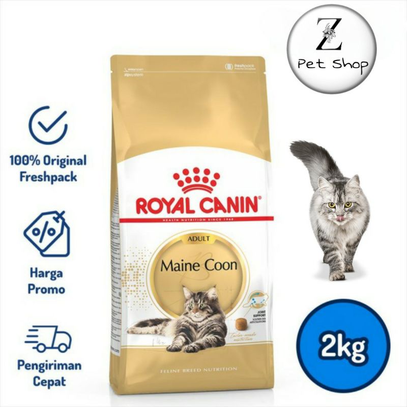 RC Adult Maine Coon 2 Kg