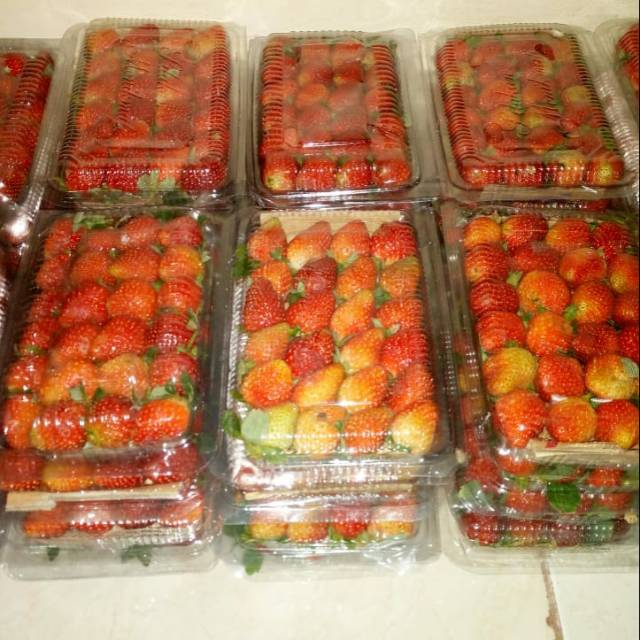 

strawberry lokal