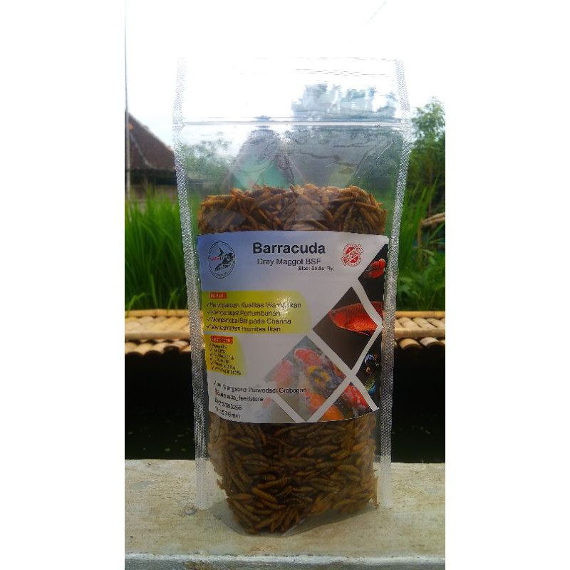 Maggot Kering(Dry Maggot BSF)