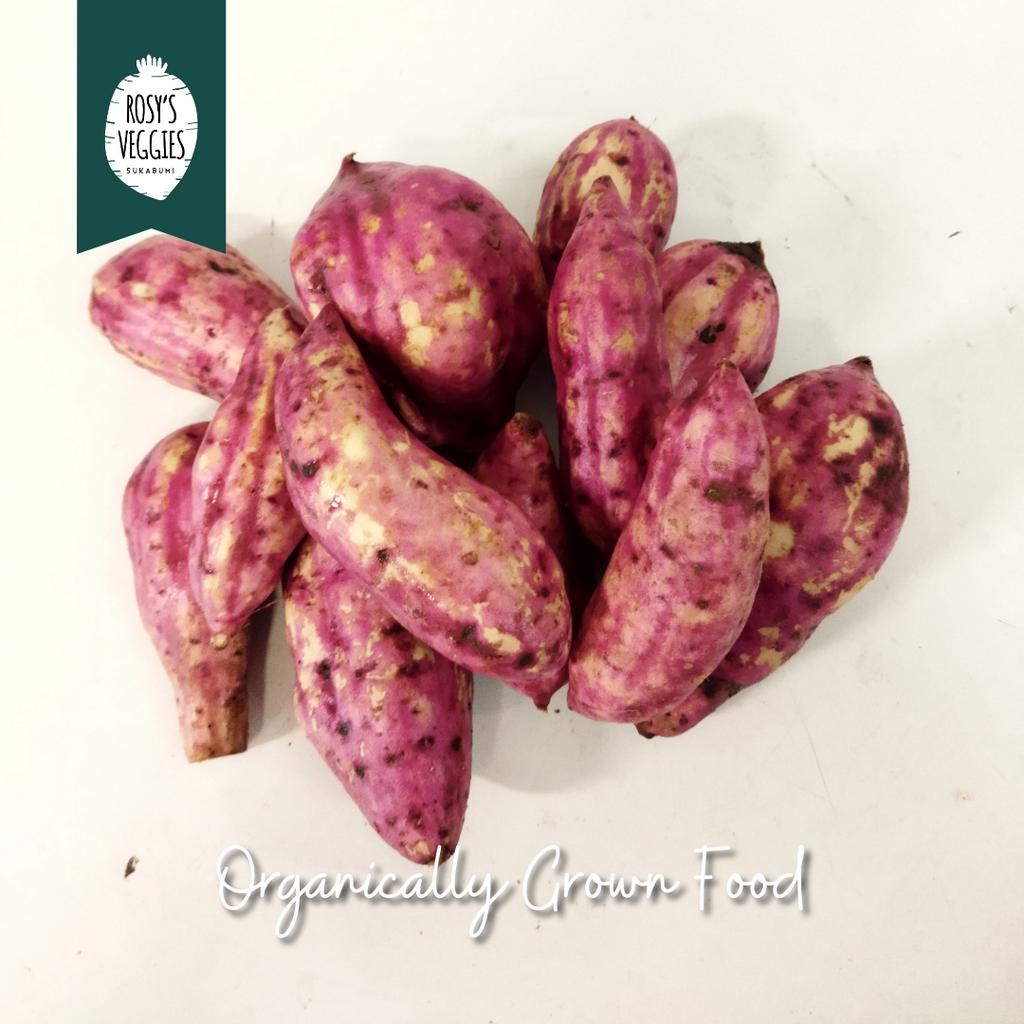 

Ubi Jepang Organik | per kg
