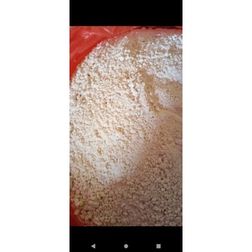 

Pati Garut asli Sragen