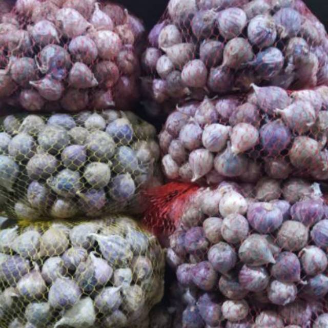 

Bawang lanang super import - bawang tunggal 1 kg