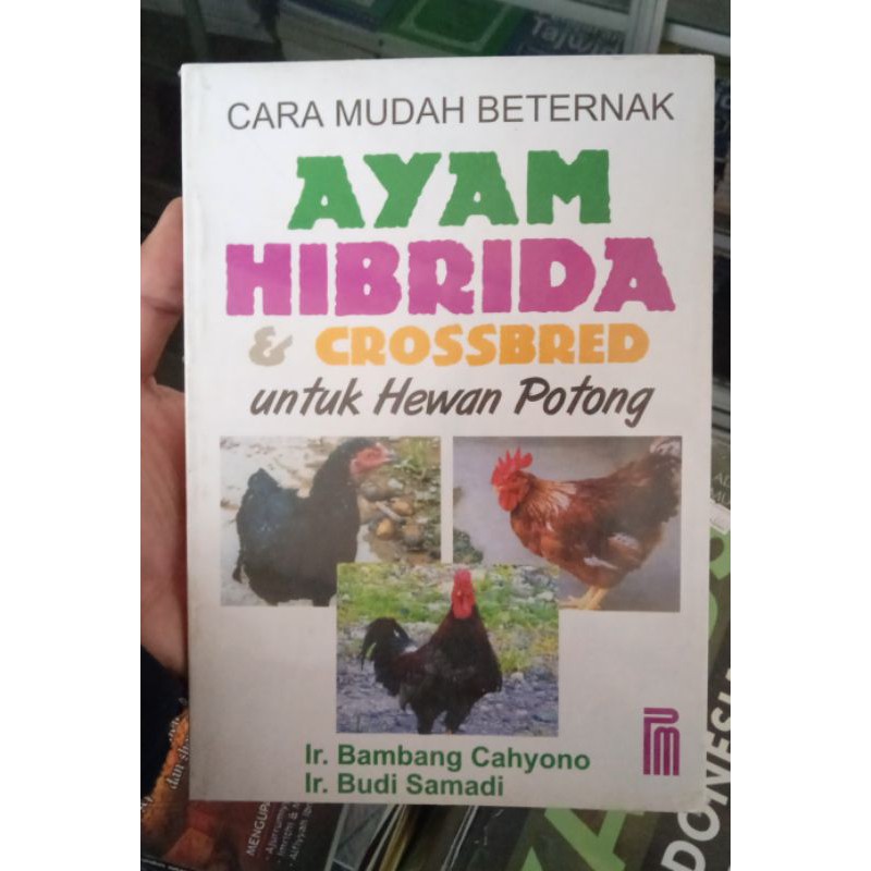 46 Gambar Hewan Ayam Yang Mudah Gratis Terbaru