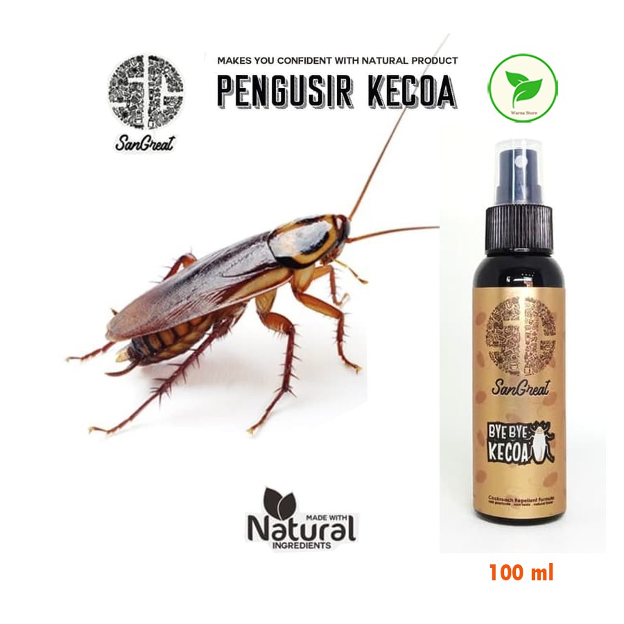 Pengusir Kecoa, Bye Bye Kecoa Gel 70 gr dan Bye Bye Kecoa Spray 100 ml