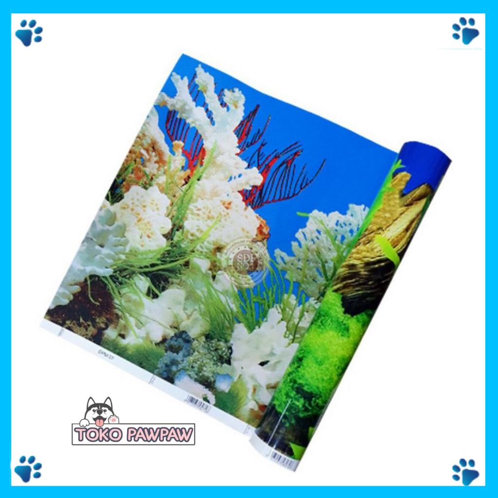 BACKGROUND AAQUARIUM BOLAK BALIK Gambar Akuarium Aquascape Latar Belakang Akuascape Wallpaper