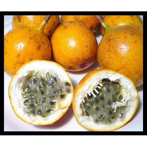 Jual Benih Bibit Biji Markisa Manis Passiflora Edulis Forma Flavicar Shopee Indonesia