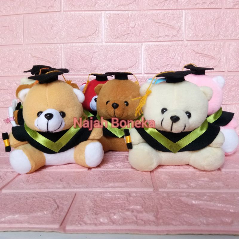 Boneka wisuda beruang/bear 16cm pita hijau