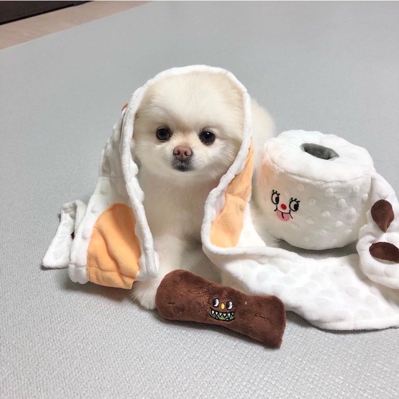 Korea toilet tissue hidden treats and squeaky toy