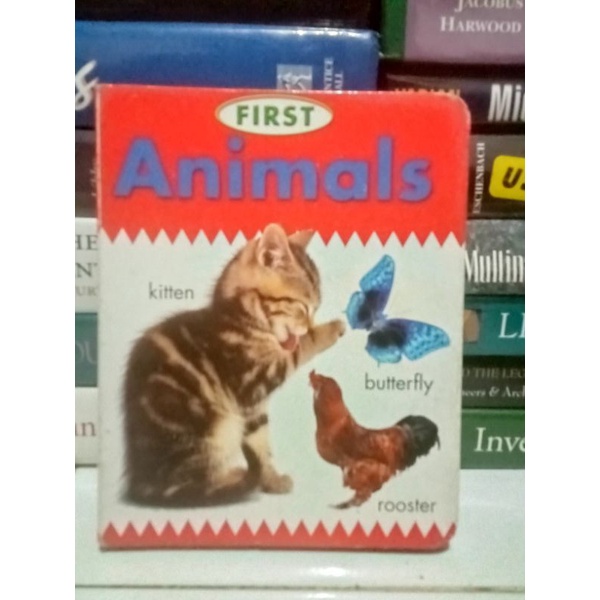 First Animal