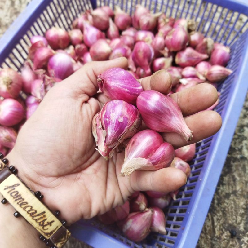 Bawang Merah Super 1kg - Bawang Merah Brebes