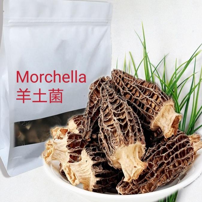 

Hasil Bumi Mushroom jamur shitake porcini Morchella velvet