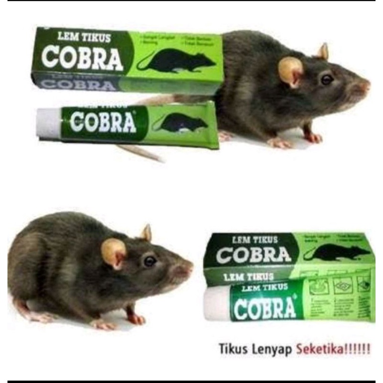 LEM TIKUS SUPER LENGKET/LEM TIKUS COBRA
