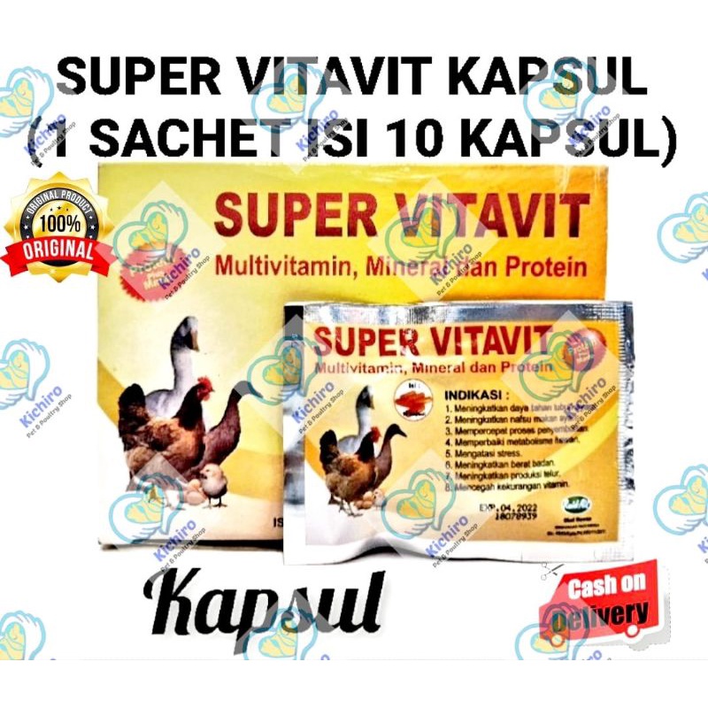 Super Vitavit Kapsul isi 10 Kapsul Raid All Multivitamin Mineral dan Protein Untuk Unggas Ayam Bebek