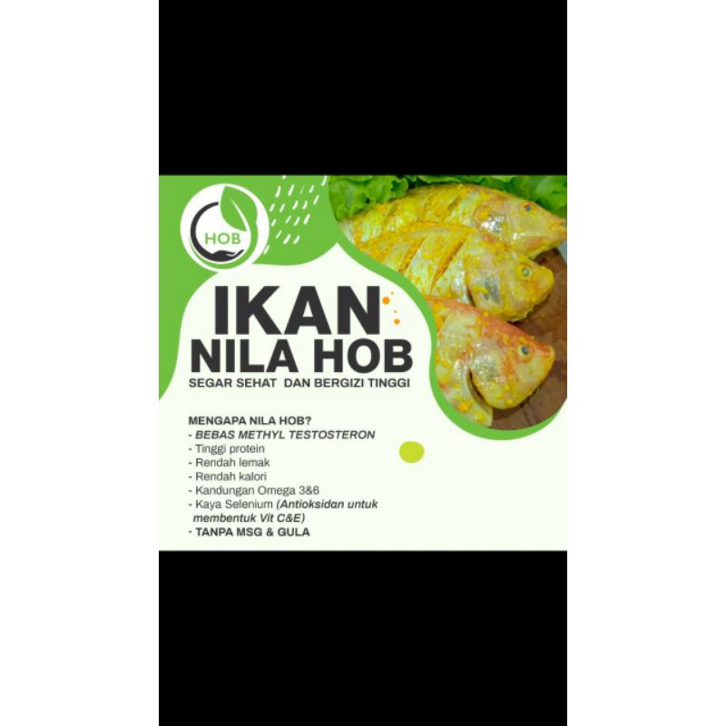 

Ikan Nila Sehat HOB