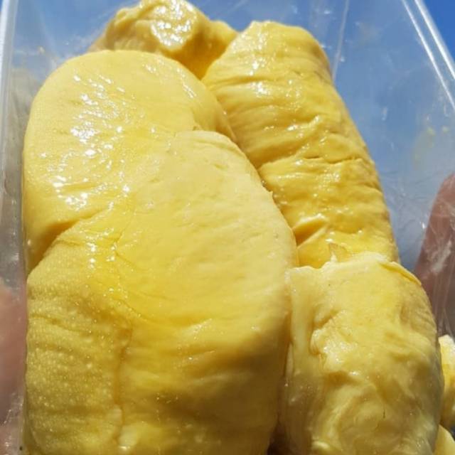 

Durian Montong Bali PREMIUM BERGARANSI ADA HARGA ADA KUALITAS