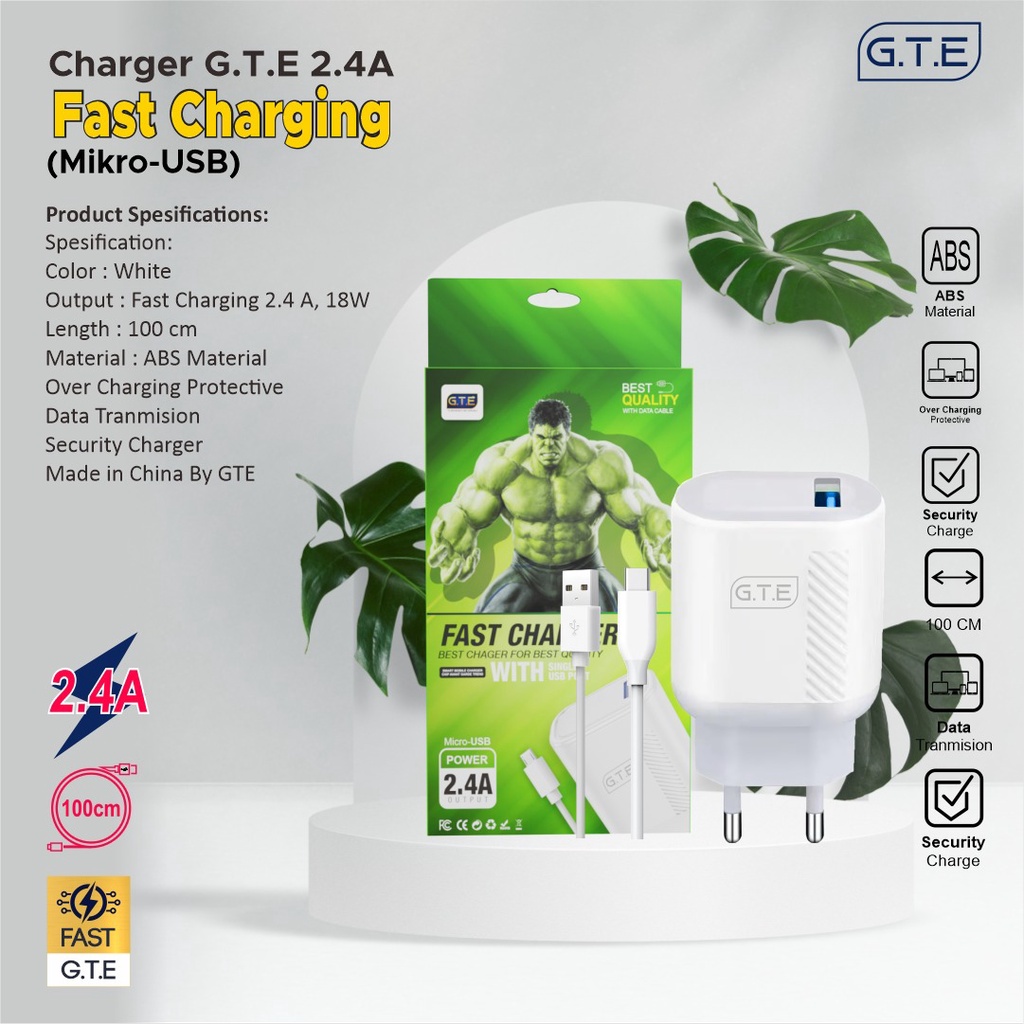 Charger GTE Fast Charging / Charger Hulk USB Micro / Charger Lila Tipe C