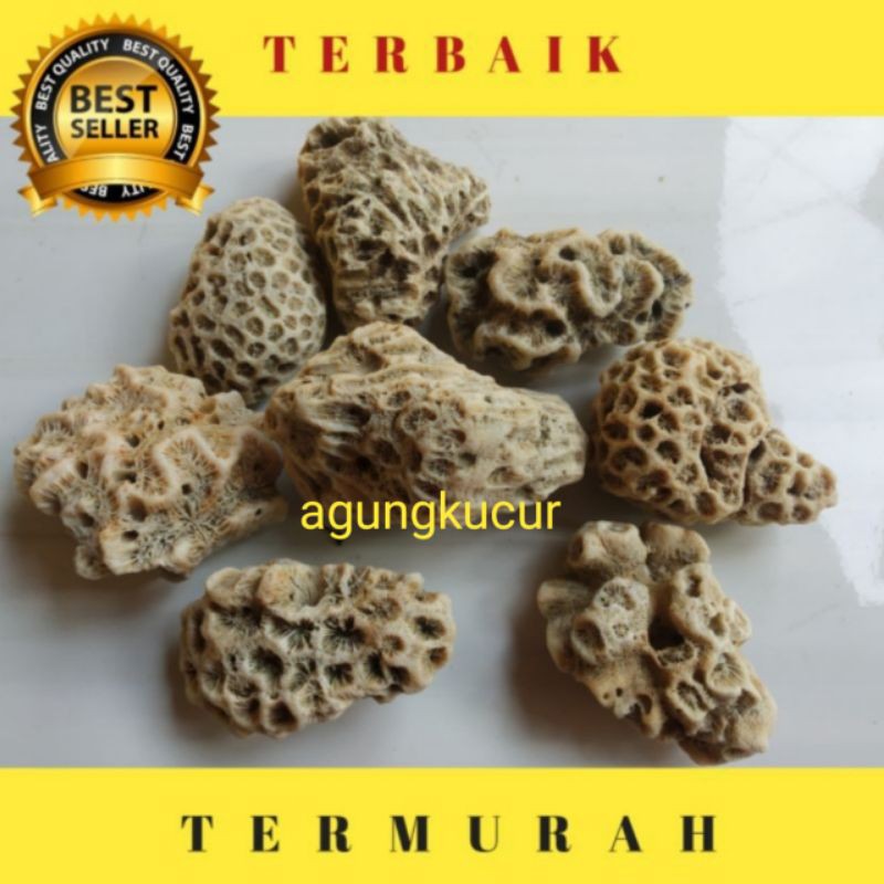 Batu Karang Hiasan Akuarium/aquascape