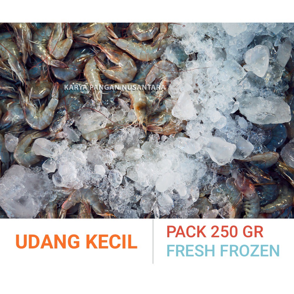 

UDANG KECIL FRESH FROZEN UDANG KECIL SEGAR BEKU PACK 250 GRAM