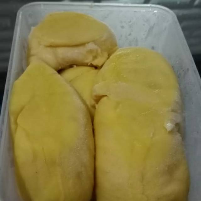

DURIAN MONTONG /DUREN MONTHONG 500GR DIKIRIM DARI RAWAMANGUN