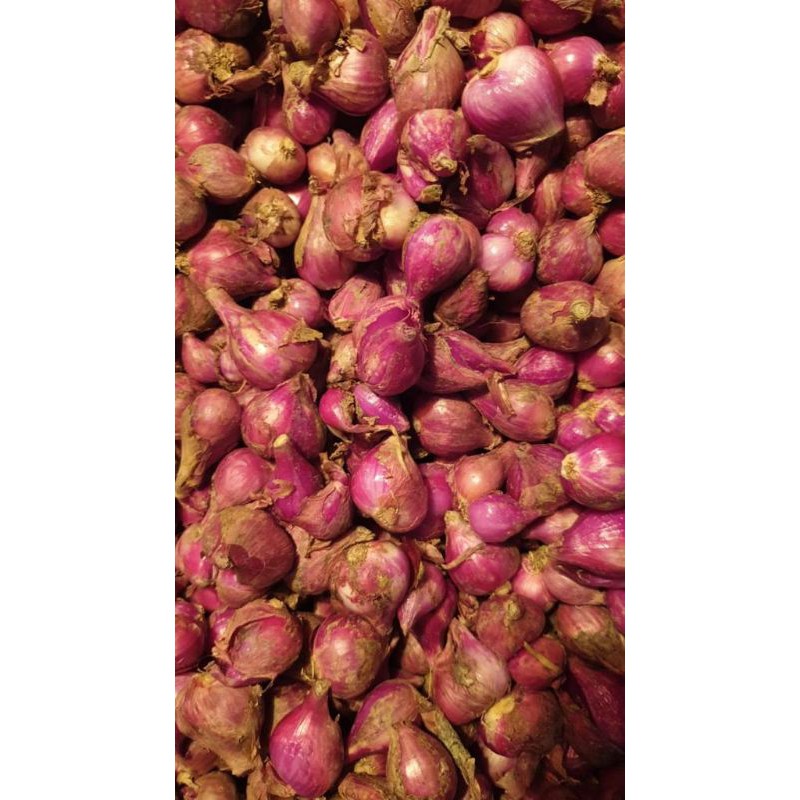 

bawang merah Brebes asli Murah 1/4kg, 1/2kg, 1kg