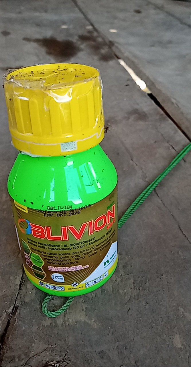 Insektisida Oblivion