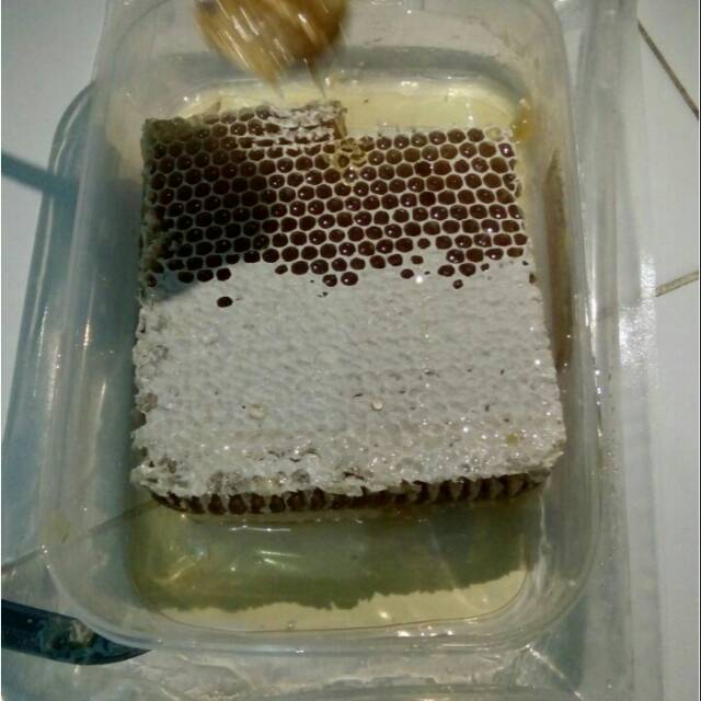 

Madu murni N hidayah