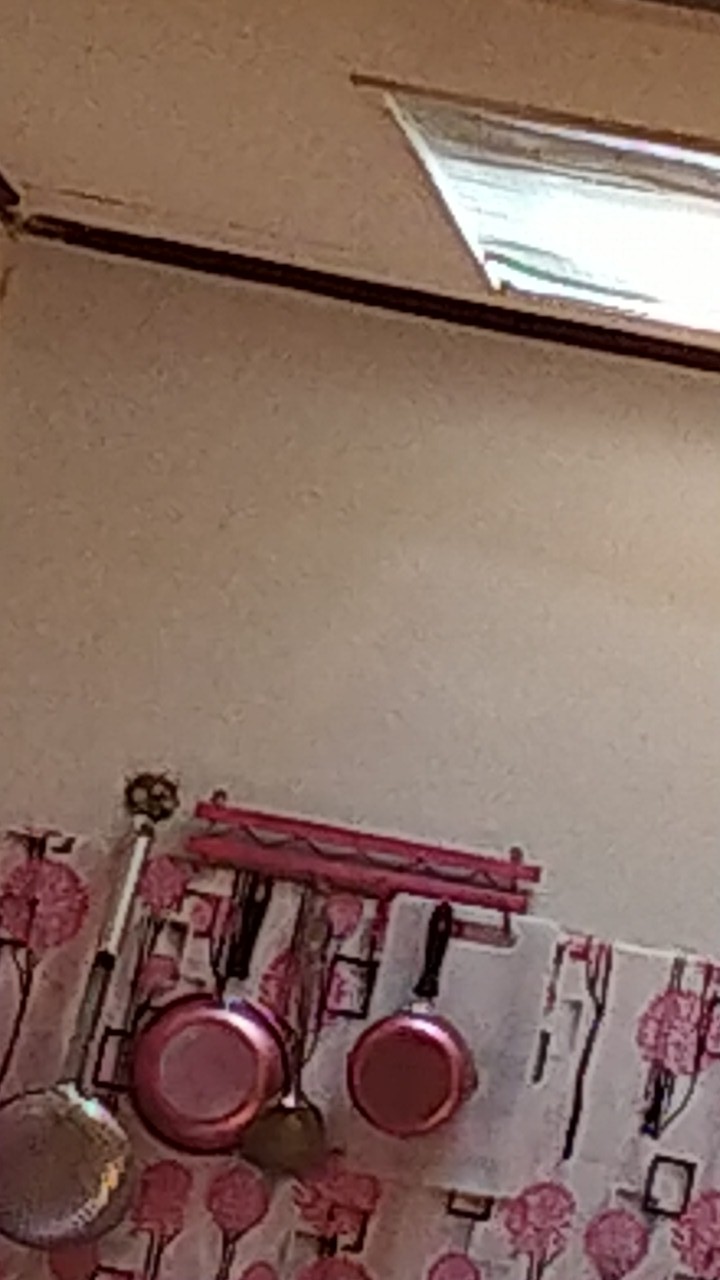 Paling Laku Maspion Evilus Set Panci Susu 14cm Dan Frypan 20cm  Pink