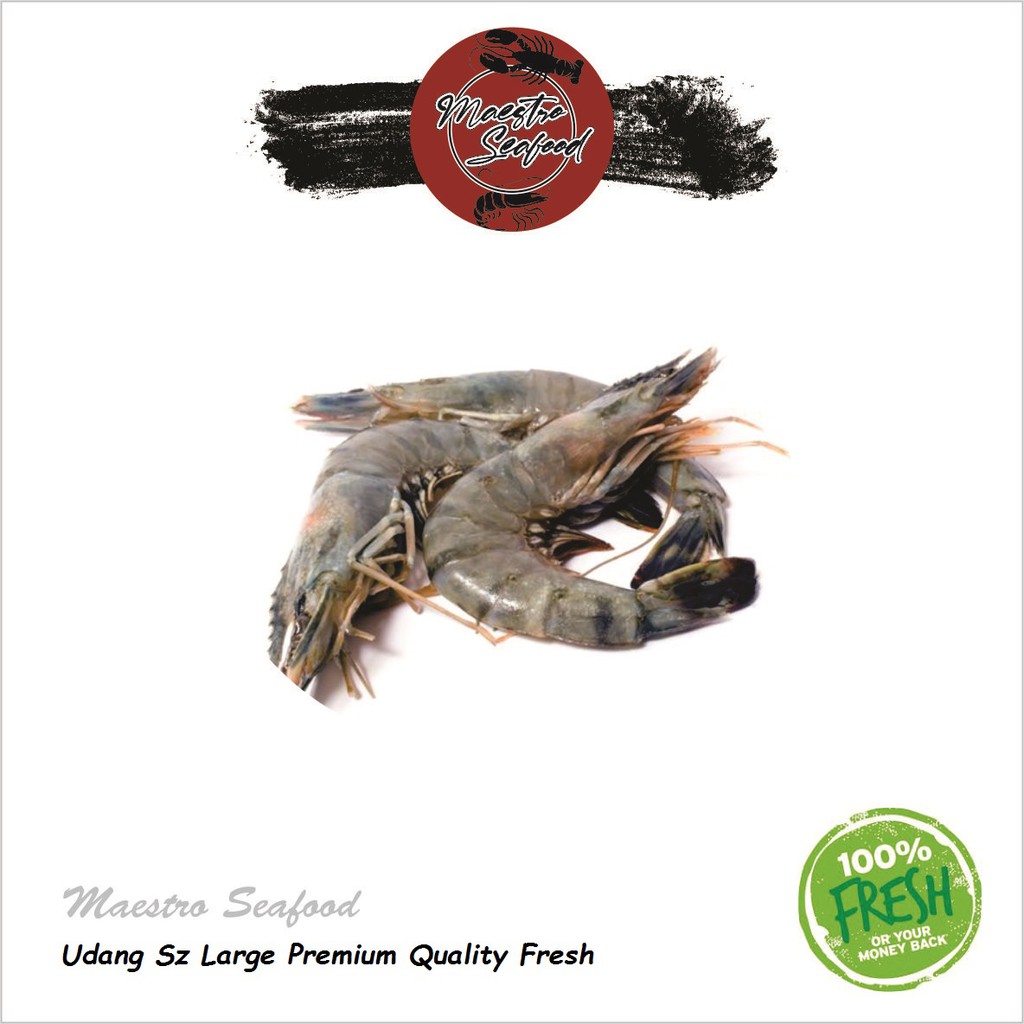 

Udang Ukuran Besar Premium Quality Fresh - 500 gr