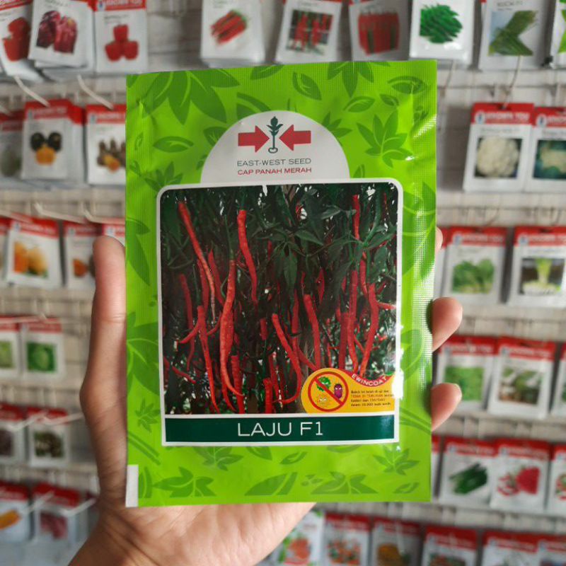 Benih Biji Bibit Cabe Merah Keriting LAJU F1 1750bj