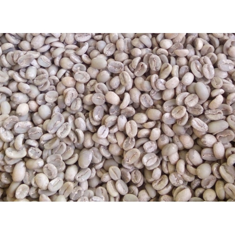 

Greenbean Kopi Arabika Toraja Gandangbatu 1kg