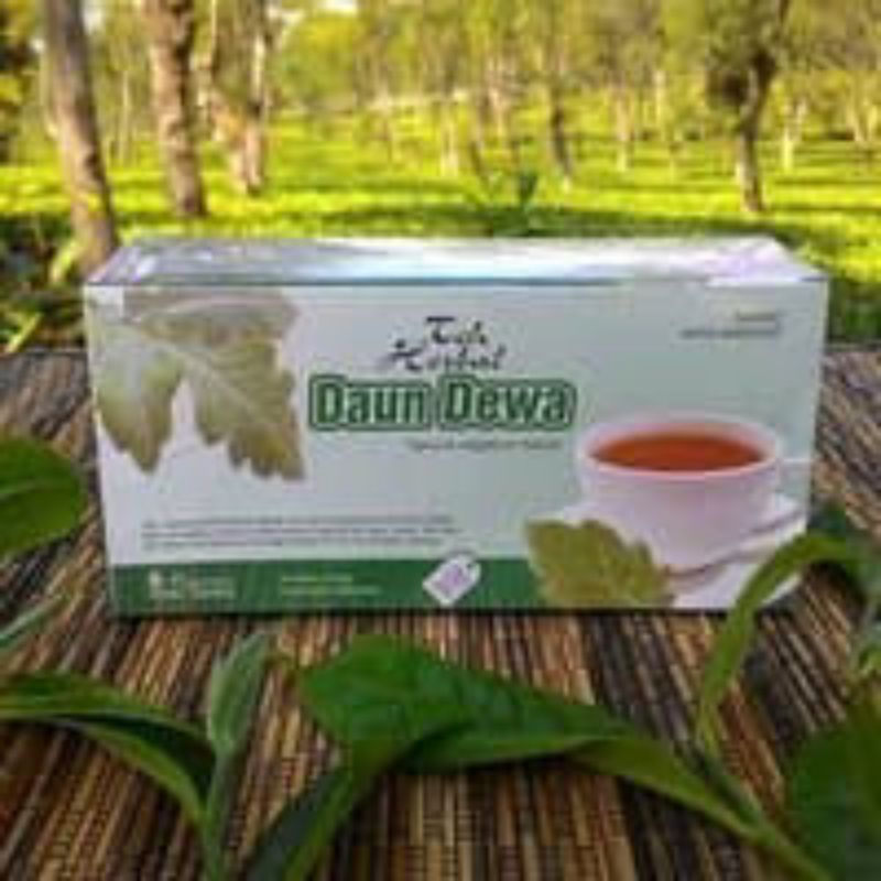 

herbal Teh Daun Dewa Original Tazakka Mengobati Stroke Melancarkan Peredaran Darah