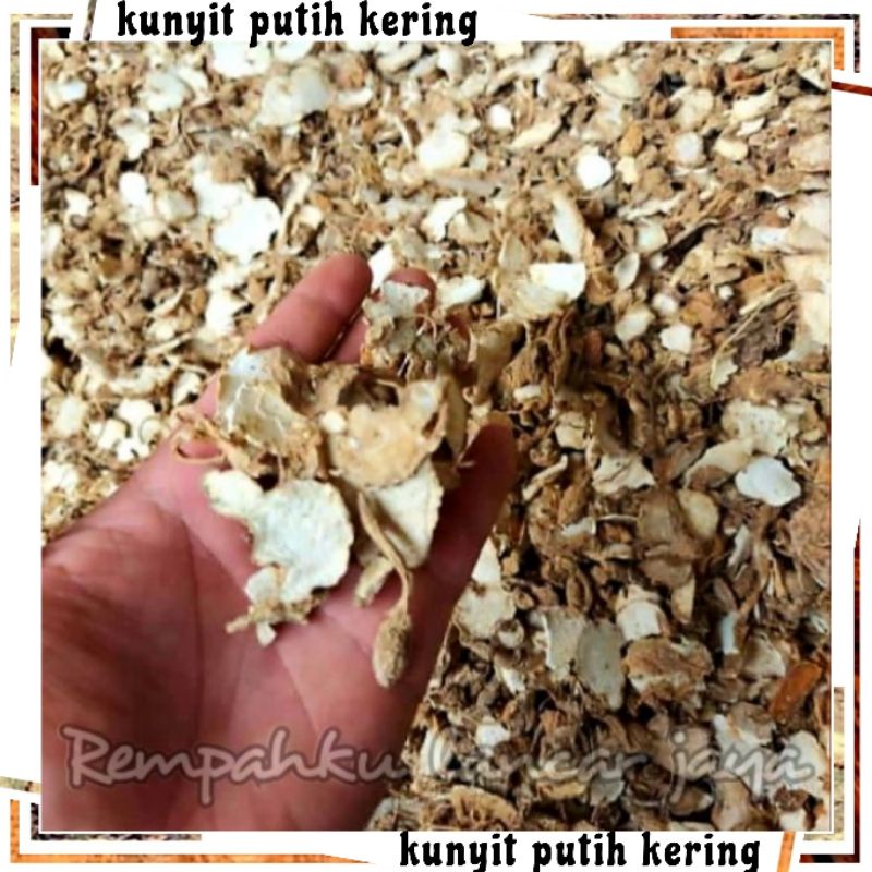 Jual Kunyit Putih Kering 100g Kunir Putih Asli Original Temu Putih Kualitas Bagus Shopee 2830