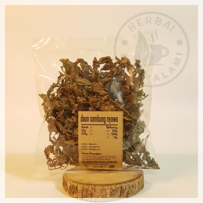 

DAUN SAMBUNG NYAWA KERING | PREMIUM | Gynura Procumbens 100g