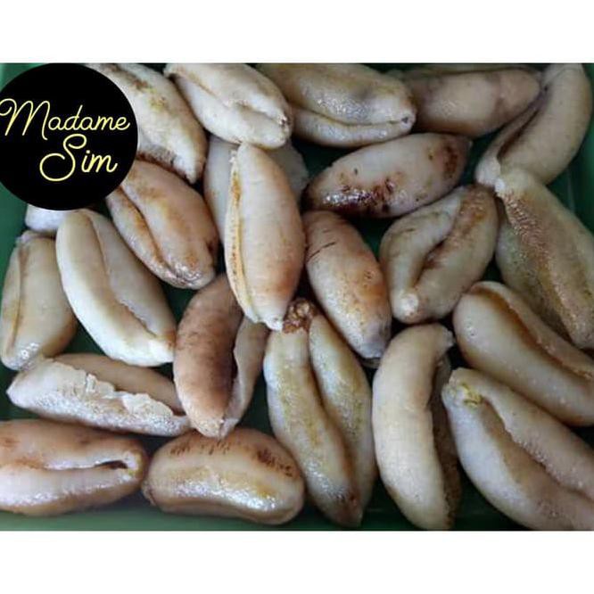 

Terlaris! Hai Som - Teripang Basah