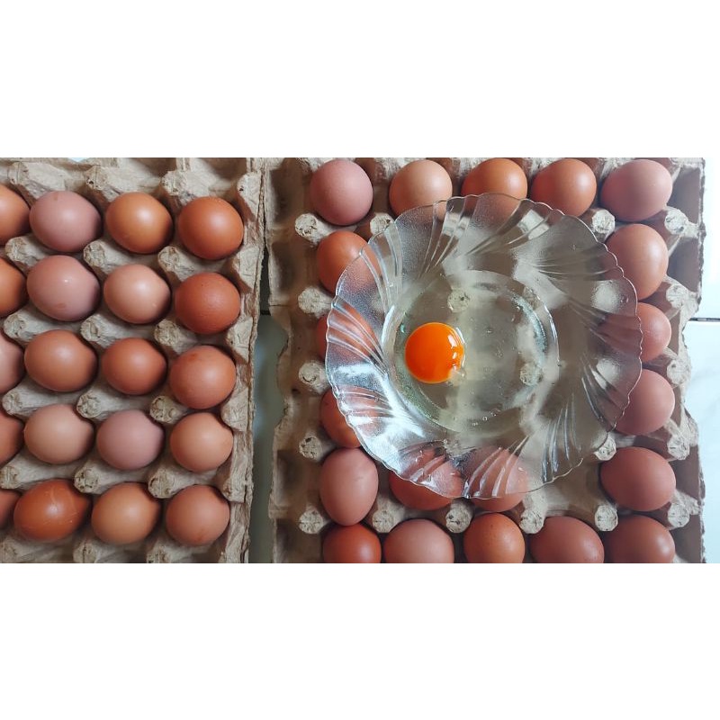 

1iket telur omega3(isi 15 kg)