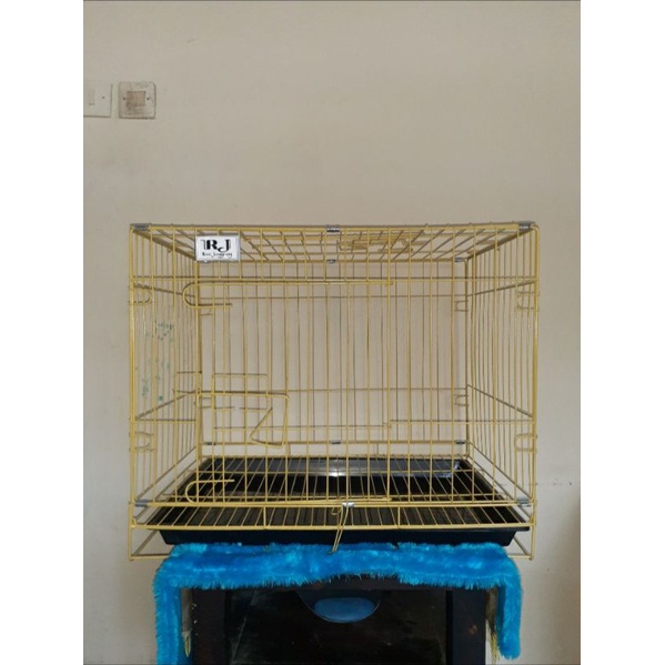 kandang kucing, kelinci, dan anjing-Kuning