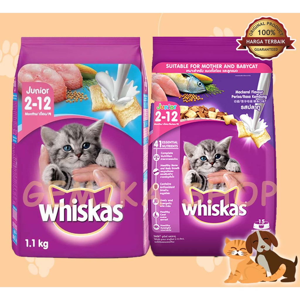 WHISKAS JUNIOR 1.1 KG | MAKANAN KUCING KERING | CAT FOOD