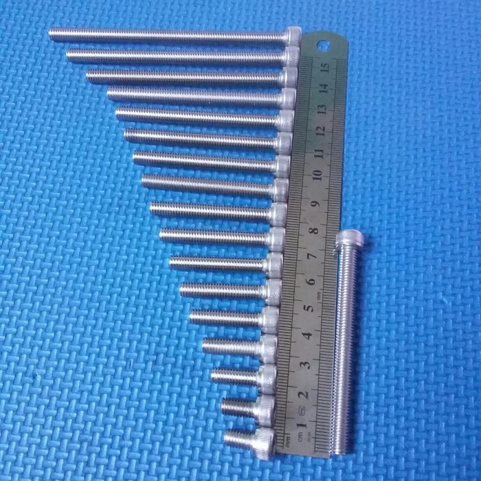 baut 10/6x70 stainless